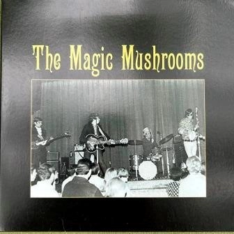 MAGIC MUSHROOMS / I'M ALL EARS c/w PAIN (7")