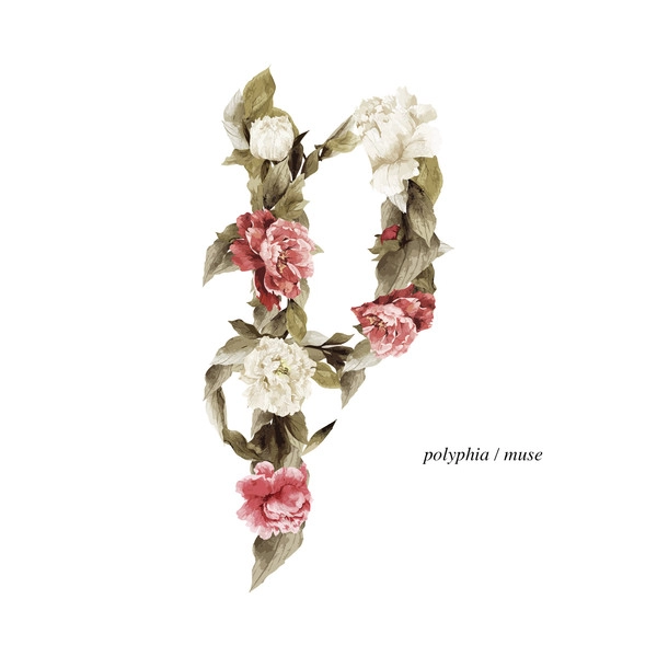 POLYPHIA / ポリフィア / MUSE