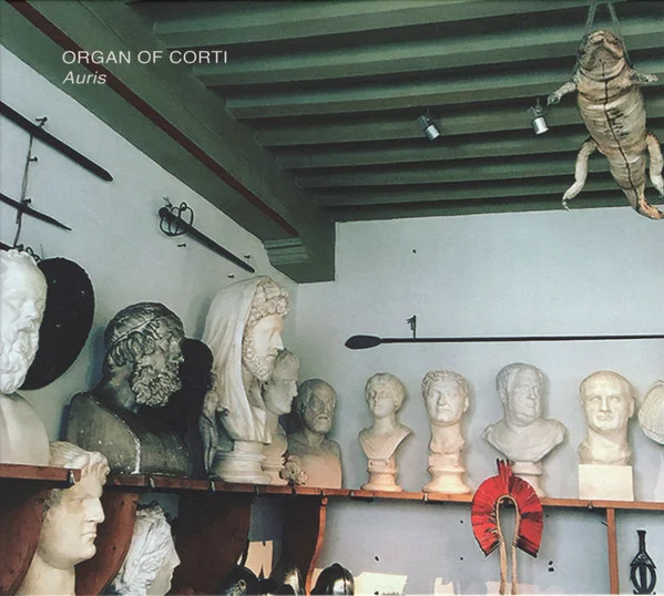 ORGAN OF CORTI / AURIS