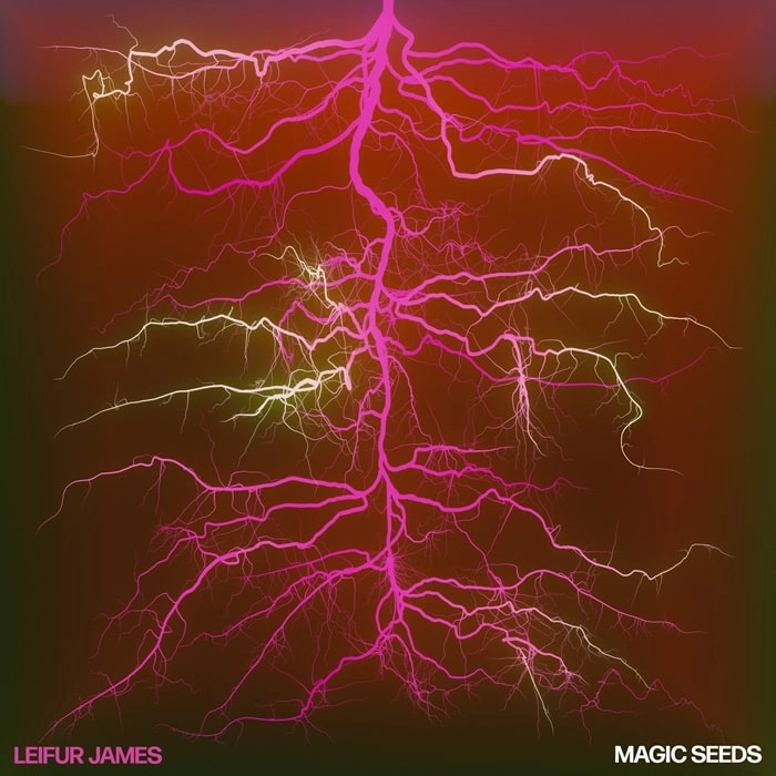 LEIFUR JAMES / MAGIC SEEDS