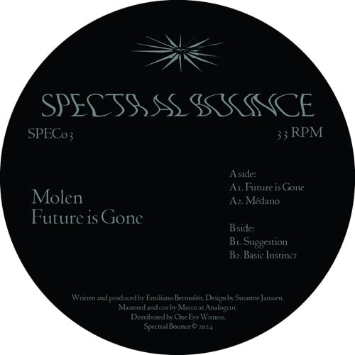 MOLEN / FUTURE IS GONE