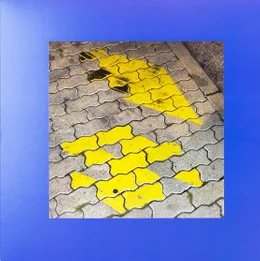 EX CONTINENT / PARTICIPANT