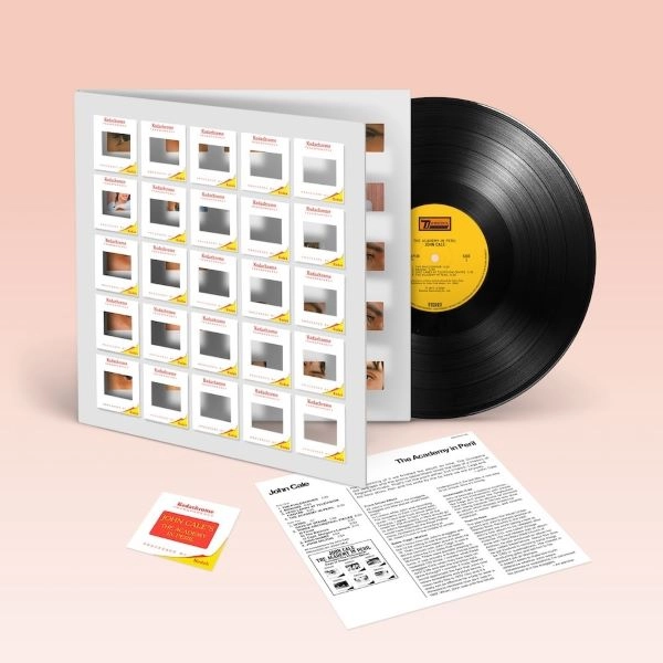 JOHN CALE / ジョン・ケイル / THE ACADEMY IN PERIL (LP)