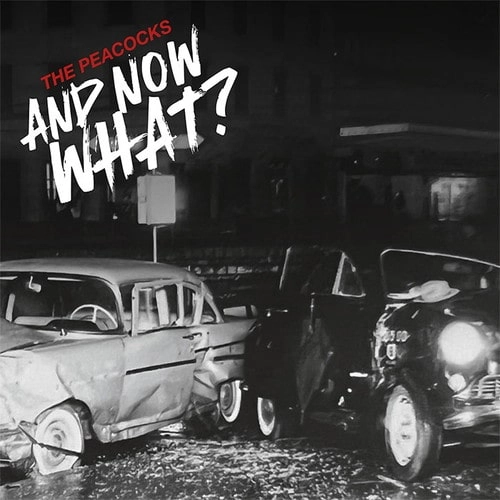 PEACOCKS / ピーコックス / AND NOW WHAT?