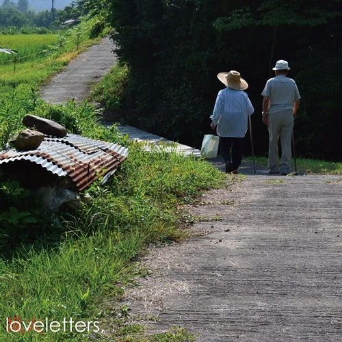 狐火 / loveletters,