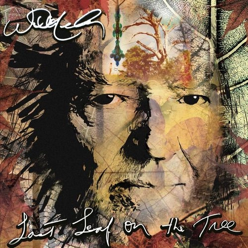 WILLIE NELSON / ウィリー・ネルソン / LAST LEAF ON THE TREE (CD)