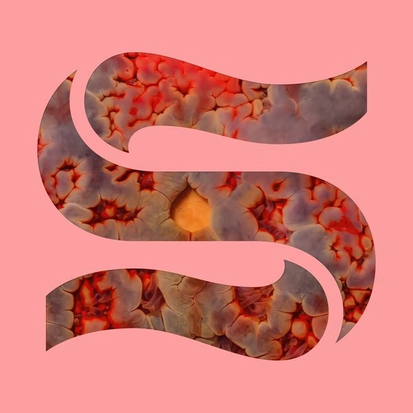 KAITLYN AURELIA SMITH & JOE GODDARD / NEPTUNES EP
