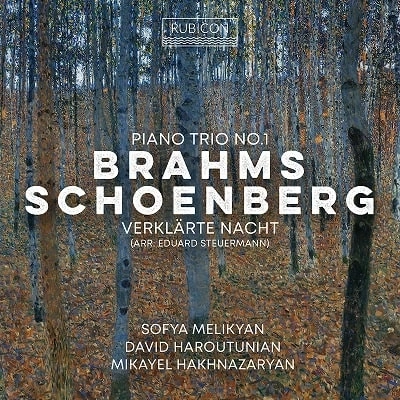 MIKAYEL HAKHNAZARYAN / ミカエル・ハクナザリアン / BRAHMS:PIANO TRIO NO.1/SCHOENBERG:VERKLARTE NACHT