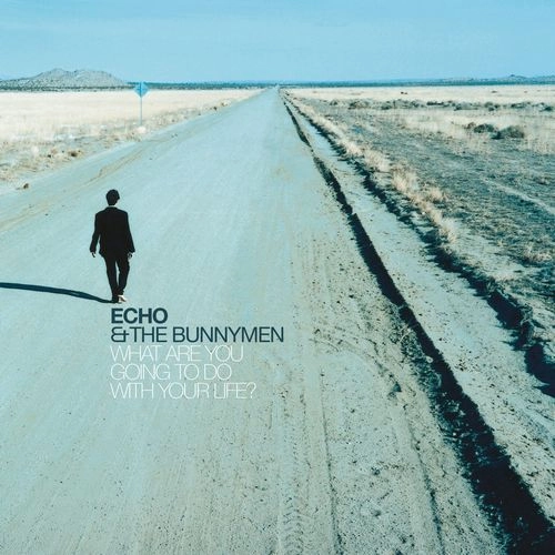 ECHO & THE BUNNYMEN / エコー&ザ・バニーメン / WHAT ARE YOU GOING TO DO WITH YOUR LIFE ? (25TH ANNIVERSARY EDITION 2CD) / WHAT ARE YOU GOING TO DO WITH YOUR LIFE ?（25TH ANNIVERSARY EDITION 2CD）