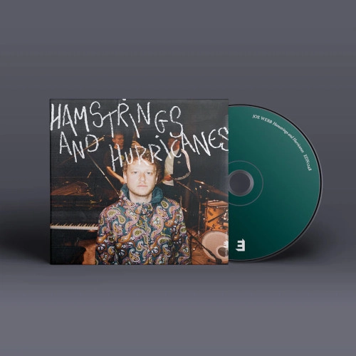 JOE WEBB / ジョー・ウェブ / HAMSTRINGS & HURRICANES