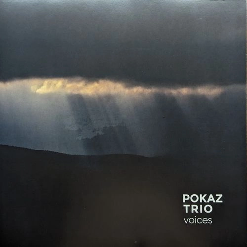 POKAZ TRIO / VOICES (LP)