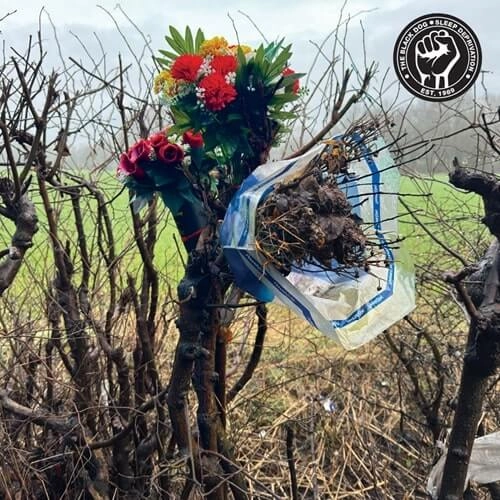 BLACK DOG / ブラック・ドッグ / SLEEP DEPRIVATION (2LP)