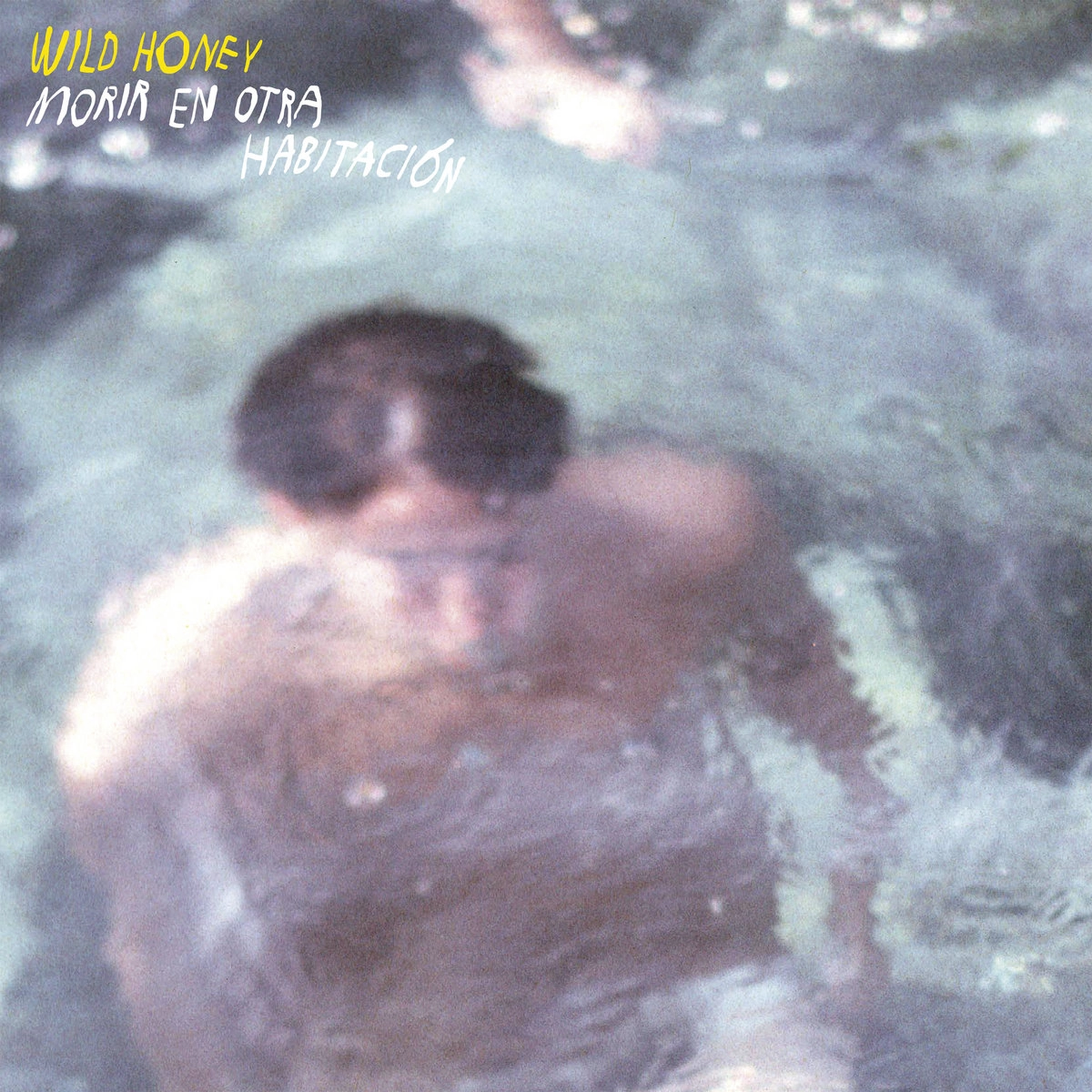 WILD HONEY (INDIE) / ワイルド・ハニー / MORIR EN OTRA HABITACION