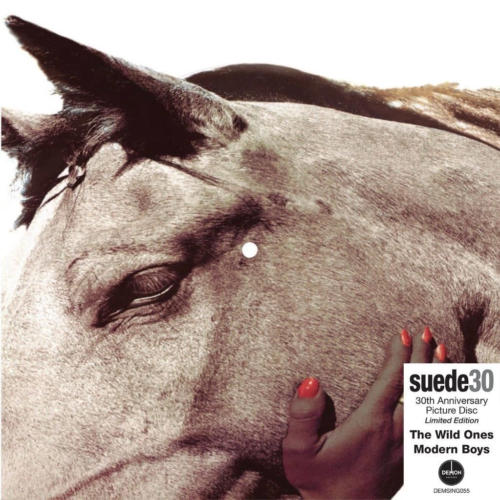 SUEDE / スウェード / THE WILD ONES (30TH ANNIVERSARY EDITION) PICTURE DISC