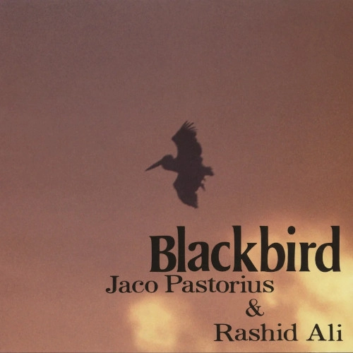JACO PASTORIUS & RASHIED ALI / ジャコ・パストリアス&ラシッド・アリ / ブラックバーズ