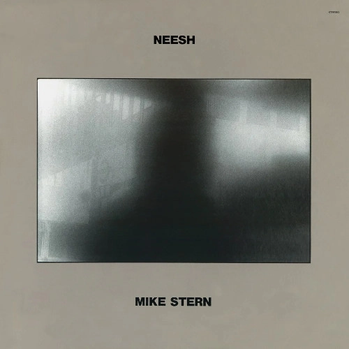 MIKE STERN / マイク・スターン / ファット・タイム