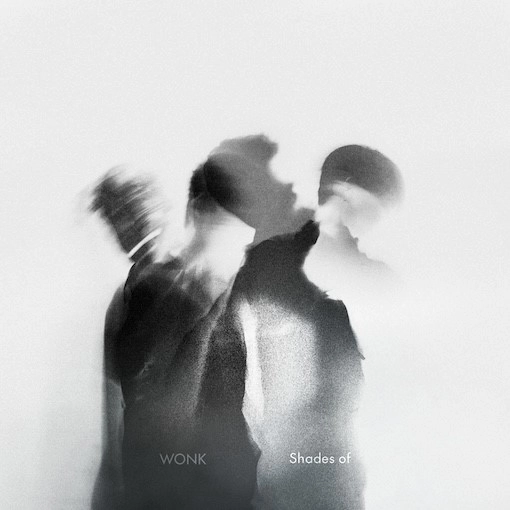 WONK / Shades of（2LP）