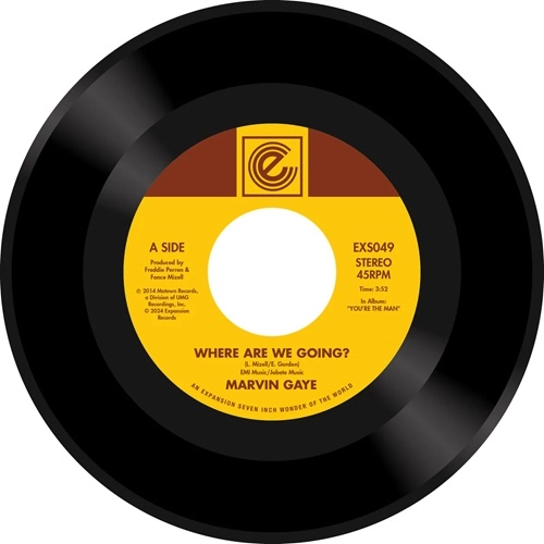 MARVIN GAYE / マーヴィン・ゲイ / WHERE ARE WE GOING? / WOMAN OF THE WORLD