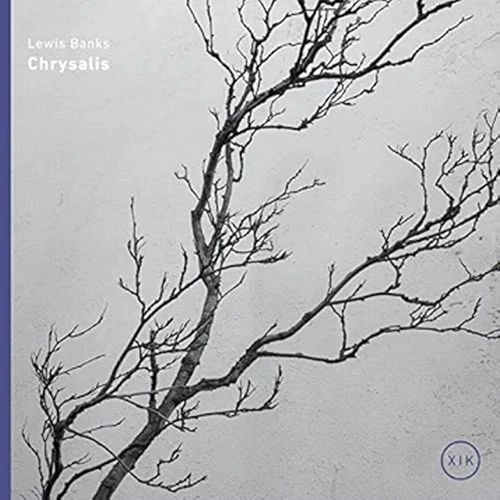 LEWIS BANKS / CHRYSALIS