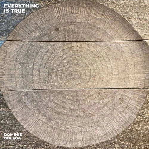 DOMINIK DOLEGA / EVERYTHING IS TRUE
