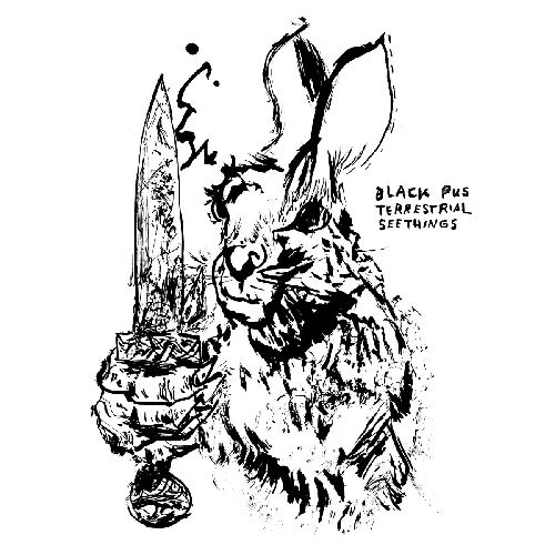 BLACK PUS / ブラック・パス / TERRESTRIAL SEETHINGS (CD)