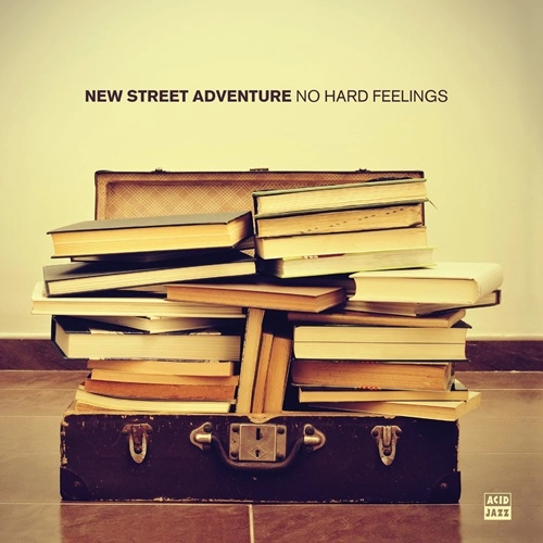 NEW STREET ADVENTURE / ニュー・ストリート・アドヴェンチャー / NO HARD FEELINGS (COLOR VINYL)