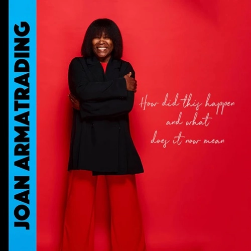 JOAN ARMATRADING / ジョーン・アーマトレイディング / HOW DID THIS HAPPEN AND WHAT DOES IT NOW MEAN