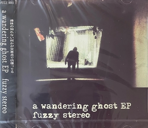 fuzzy stereo / a wandering ghost EP