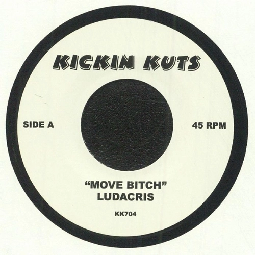 LUDACRIS / リュダクリス / A MOVE BITCH / STAND UP (7inch)