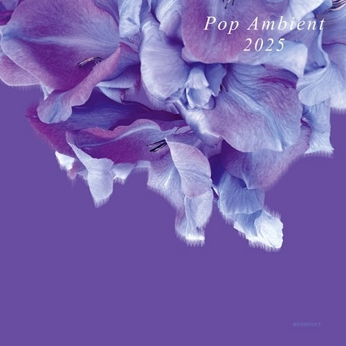 V.A.(POP AMBIENT) / POP AMBIENT 2025 (LP)