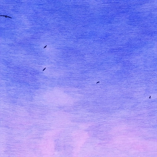 AUNTIE FLO / IN MY DREAMS (I'M A BIRD AND I'M FREE) LP