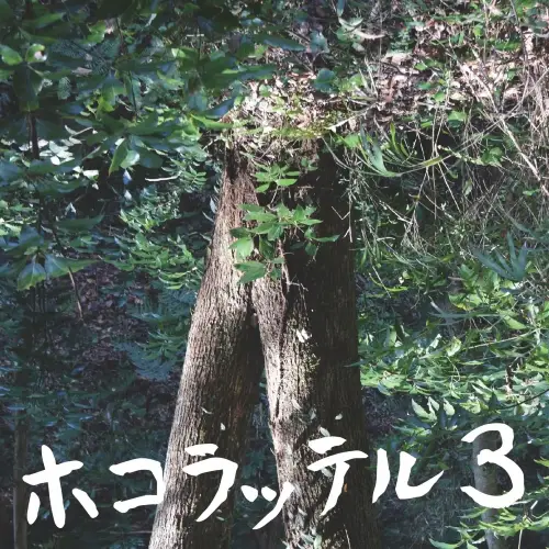 TOSHINORI SUZUKI / 鈴木利典 / ホコラッテル3