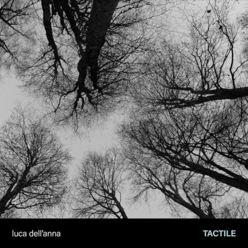 LUCA DELL'ANNA / ルカ・デルアンナ / TACTILE