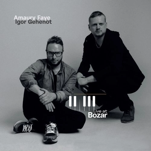 AMAURY FAYE / LIVE AT BOZAR
