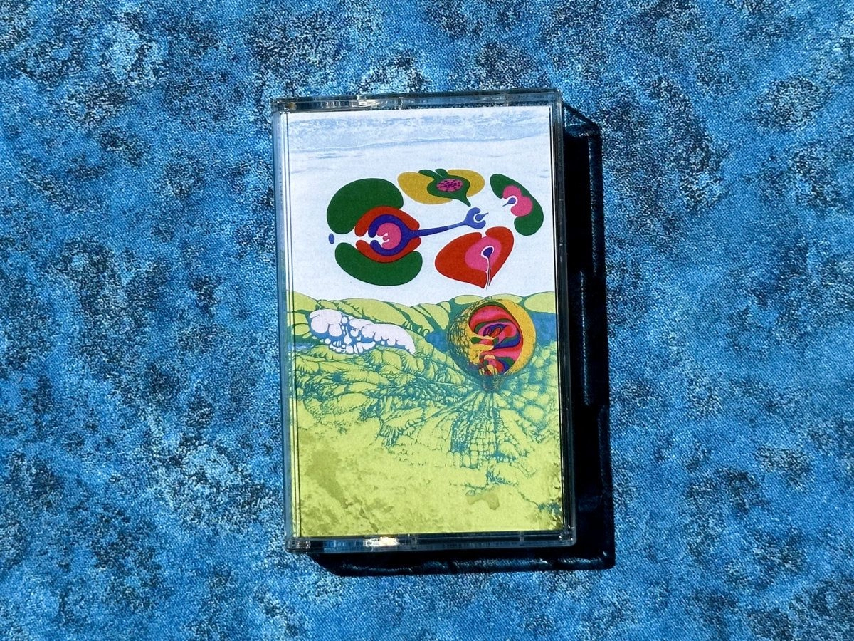 TAROTPLANE / AEONIUM