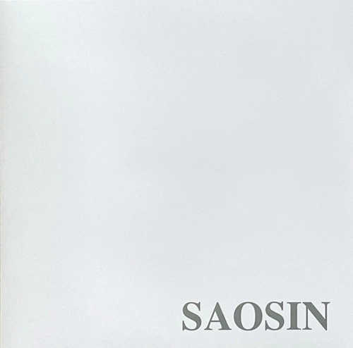 SAOSIN / セイオシン / Translating The Name(LP)