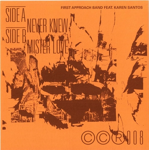 FIRST APPROACH BAND / NEVER KNEW