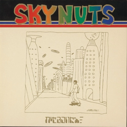 かせきさいだぁ / SKYNUTS [LP]