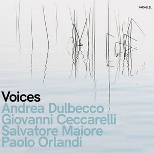 GIOVANNI CECCARELLI / ジョバンニ・チェッカレッリ / VOICES