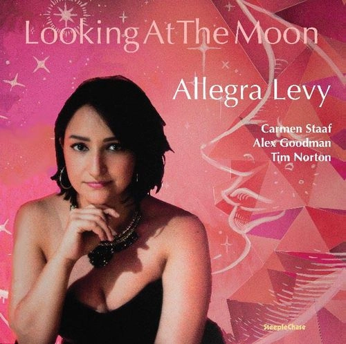 ALLEGRA LEVY / アレグラ・レヴィ / LOOKING AT THE MOON