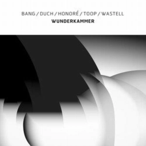 DAVID TOOP / デイヴィッド・トゥープ / WUNDERKAMMER (LP)
