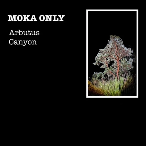 MOKA ONLY / モカオンリー / ARBUTUS CANYON (LP)