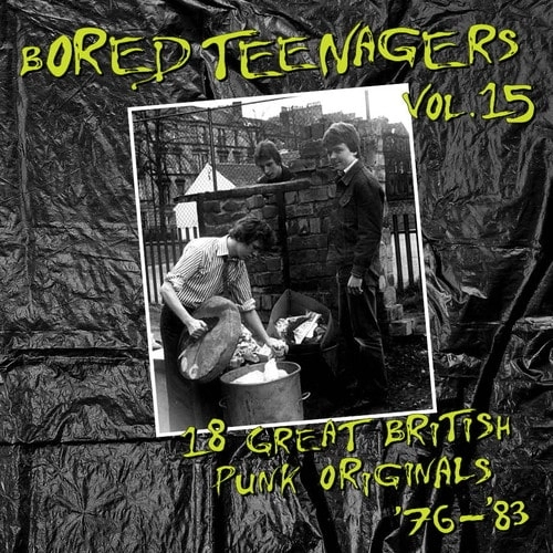 VA (BIN LINER RECORDS) / BORED TEENAGERS VOL.15 (LP)
