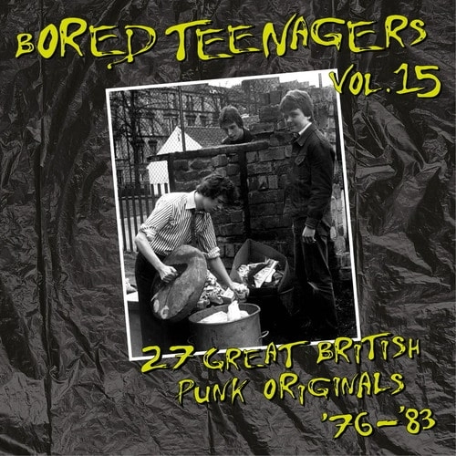VA (BIN LINER RECORDS) / BORED TEENAGERS VOL.15