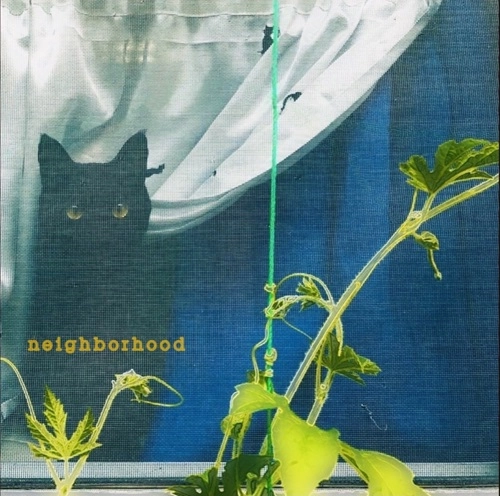 Big sloth / neighborhood（CASSETTE)