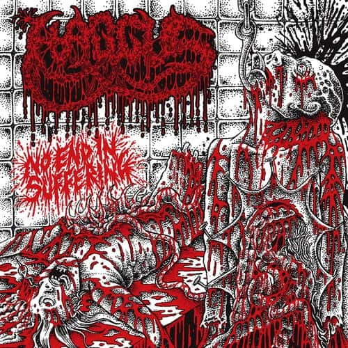HAGGUS / NO END IN SUFFERING (7")
