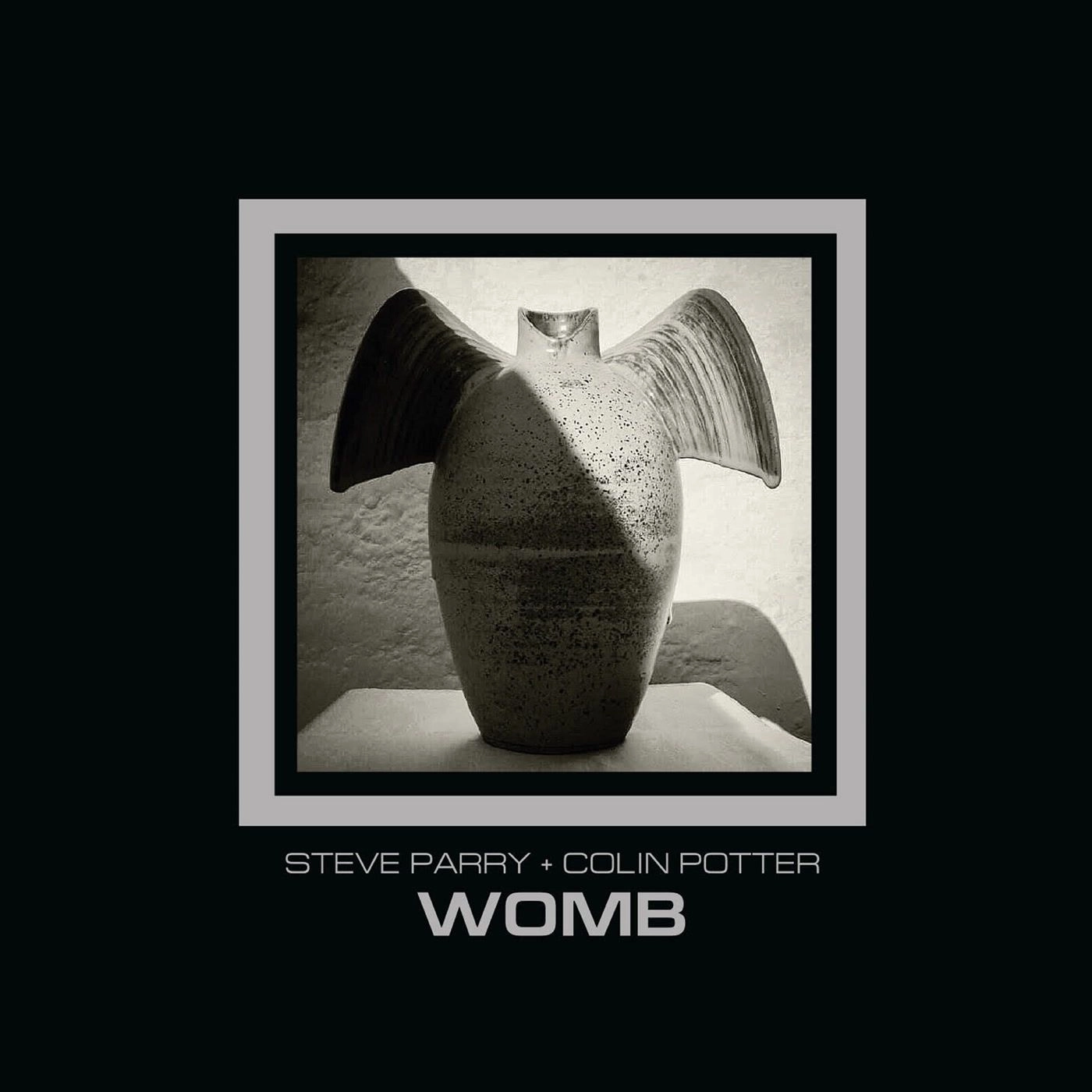 STEVE PARRY & COLIN POTTER / WOMB
