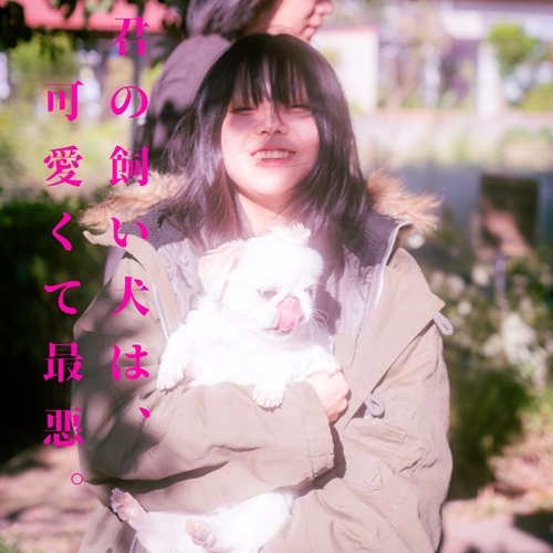 超☆社会的サンダル / 君の飼い犬は、可愛くて最悪。