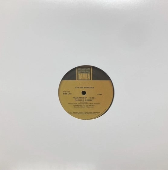 STEVIE WONDER / スティーヴィー・ワンダー / PARADISE / PASTIME PARADISE (HOUSE REMIXES)