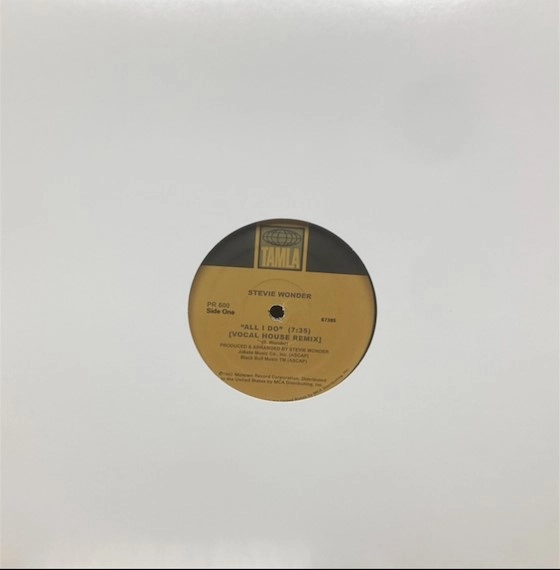 STEVIE WONDER / スティーヴィー・ワンダー / ALL I DO (HOUSE REMIXES)